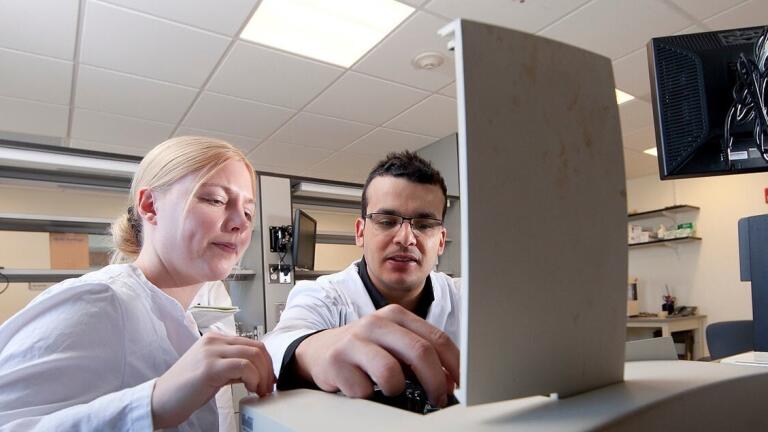 A trio of Characterisation Tools Measures up for Food Science