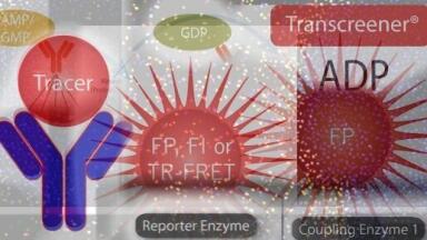 Innovative Screening Tools Accelerate Drug Discovery