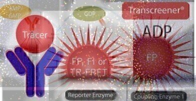 Innovative Screening Tools Accelerate Drug Discovery