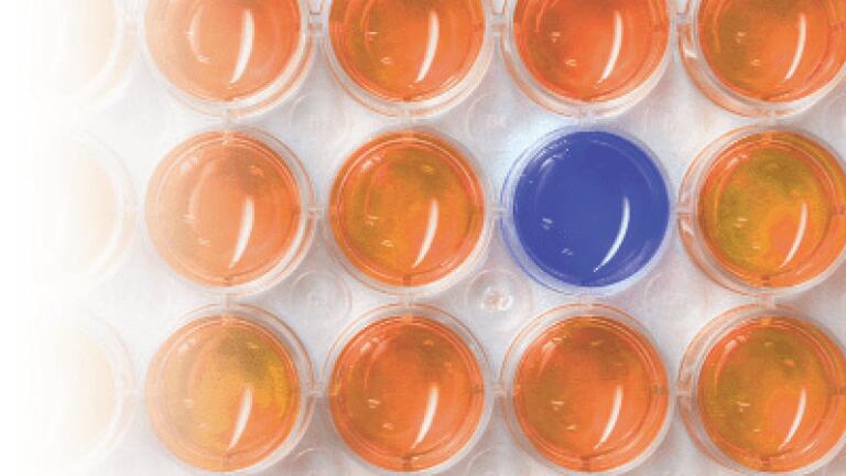 A Low Cost Solution to Increasing Throughput, Saving Time and Improving Results for Plate Based Applications