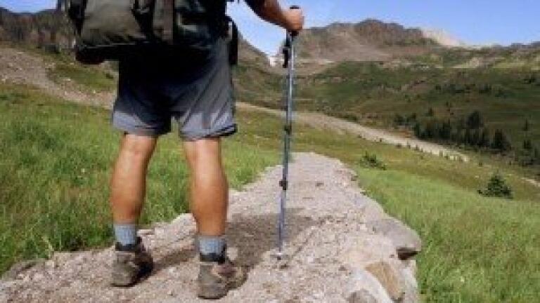 Lab scientists create energy from viruses