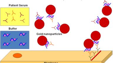 Launch of Rapid HIT Exclusion Test in the UK