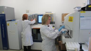 Automated Urine Analysis