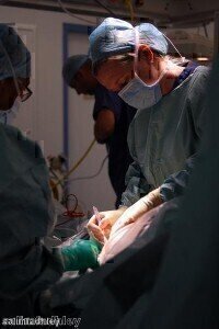 Snake-like robot could perform surgery on heart or excise tumours