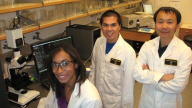 Nanoparticle Tracking Analysis Used to Characterise Microvesicles as Potential Biomarkers