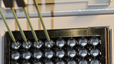 Automation of 3D Cell Culture 