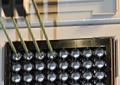 Automation of 3D Cell Culture 