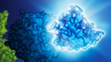 New Versatile Luciferase is Smaller and Brighter 