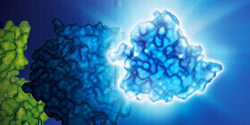 New Versatile Luciferase is Smaller and Brighter 