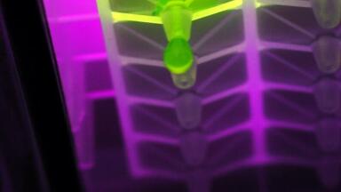 Multi-Well Plates Ensure High Filtered Sample Integrity