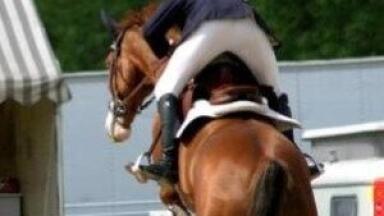 Anti doping efforts extend beyond humans at the Olympics