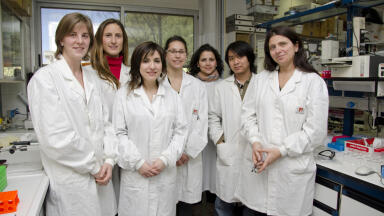 Absorbance Reader is a Real Winner for Celiac Patients 