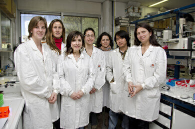 Absorbance Reader is a Real Winner for Celiac Patients 