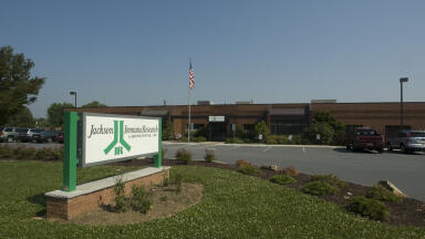 Company Expansion due to Increased Worldwide Product Demand 