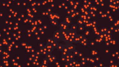 Fluoro-Max Europium Chelate Particles Available for Time-Resolved Fluorescence Applications
