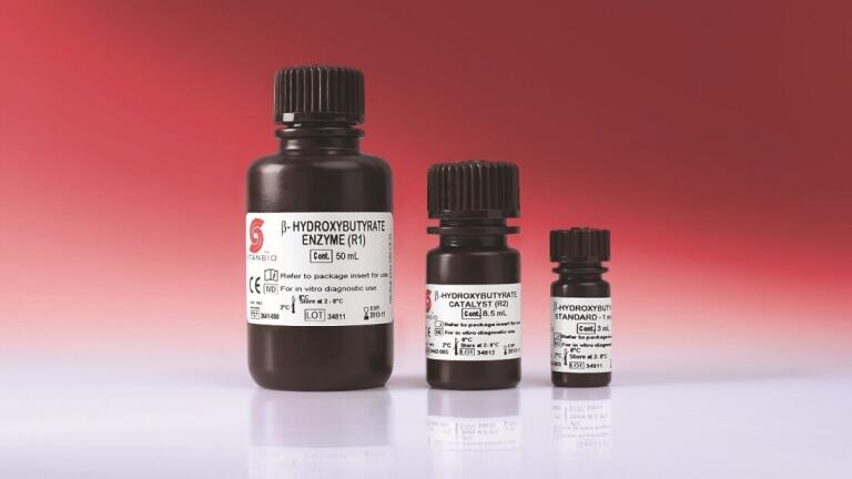 Improve Your Ketosis Detection