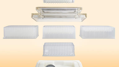 High Throughput Sample Clean-up