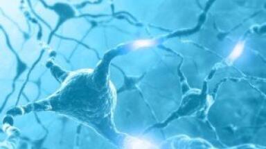 Scientists create new nerve cells from human brain cells