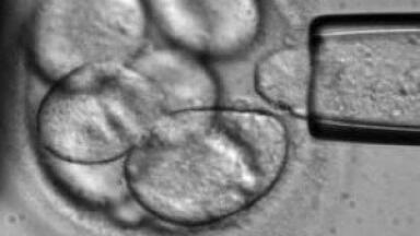 Nerve research takes a leap forward with nanofibres and stem cells