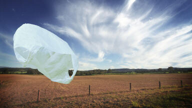 Using Rheology to Investigate Polymer Biodegradability