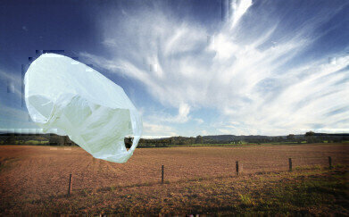 Using Rheology to Investigate Polymer Biodegradability