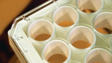 Bringing Microplate Innovation to Market