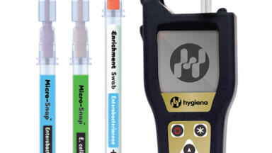 Bacterial Test Results Within a Working Day