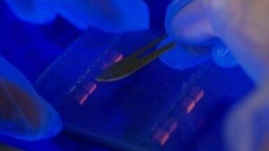 DNA mutation analysis research could improve cancer treatments