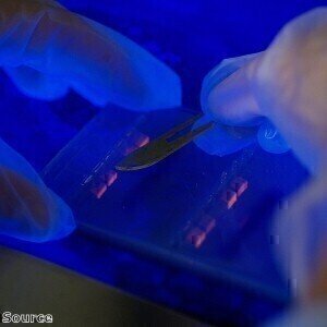 DNA mutation analysis research could improve cancer treatments