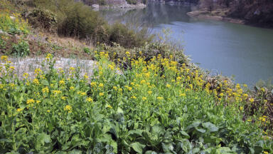 New Article on Pyrethroid Screening in Sediment Now Available for Download