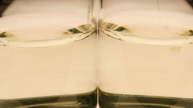 Validation made Easy as new Enrichment Medium meets ISO Standards in Full