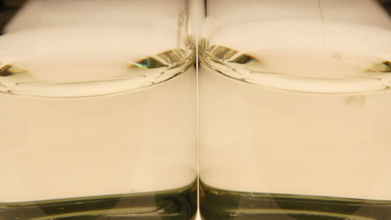 Validation made Easy as new Enrichment Medium meets ISO Standards in Full