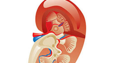 Rapid Test Provides Earlier Detection of Acute Kidney Injury