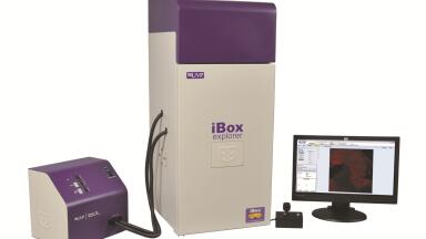 Biodistribution Monitoring of Fluorescent Markers In Vivo Using the iBox Explorer2 Imaging Microscope