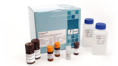 Endotoxin Detection Portfolio Extended 