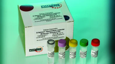 New Standards for Molecular Parasite Assays 