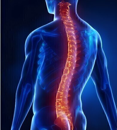 Highly Purified Chondroitinase ABC for Neural Regeneration Research
