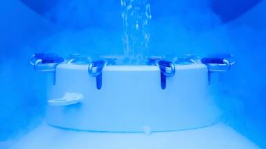 Effective Cryopreservation of iPS Cells