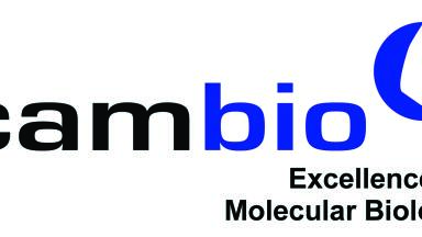 Sequence Deeper and Discover More