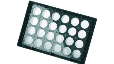 Large Microplate Well Surface Area Promotes Efficient Cell Growth