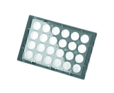 Large Microplate Well Surface Area Promotes Efficient Cell Growth
