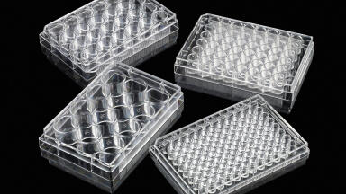 Untreated Microplates for Growing Cells in Suspension