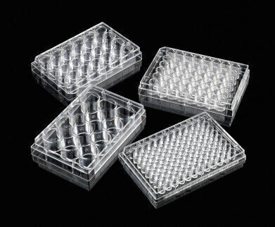 Untreated Microplates for Growing Cells in Suspension
