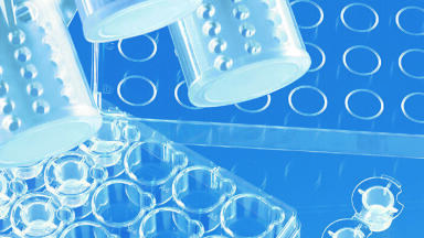 New Innovation for Cell and Tissue Culture