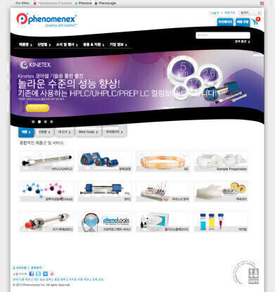 Translated Website Serves Growing Korean Market
