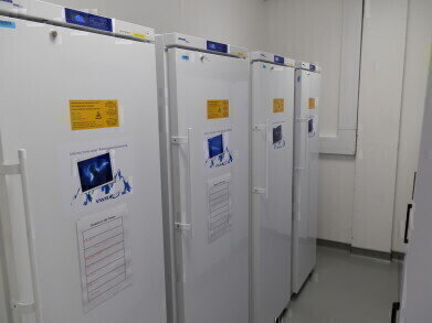 Freezers used for Biodiversity Bank Project
