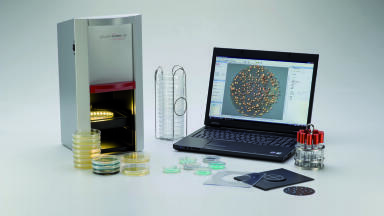 Accuracy and documentation when counting colonies …