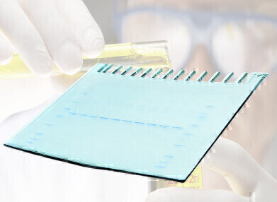 Precast Gels provide Speed and Flexibility  
