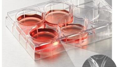 Latest Life Sciences Innovation for Cell Culture Launched