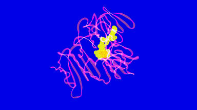 Highly Specific Aptamer Protein Precipitation Kits